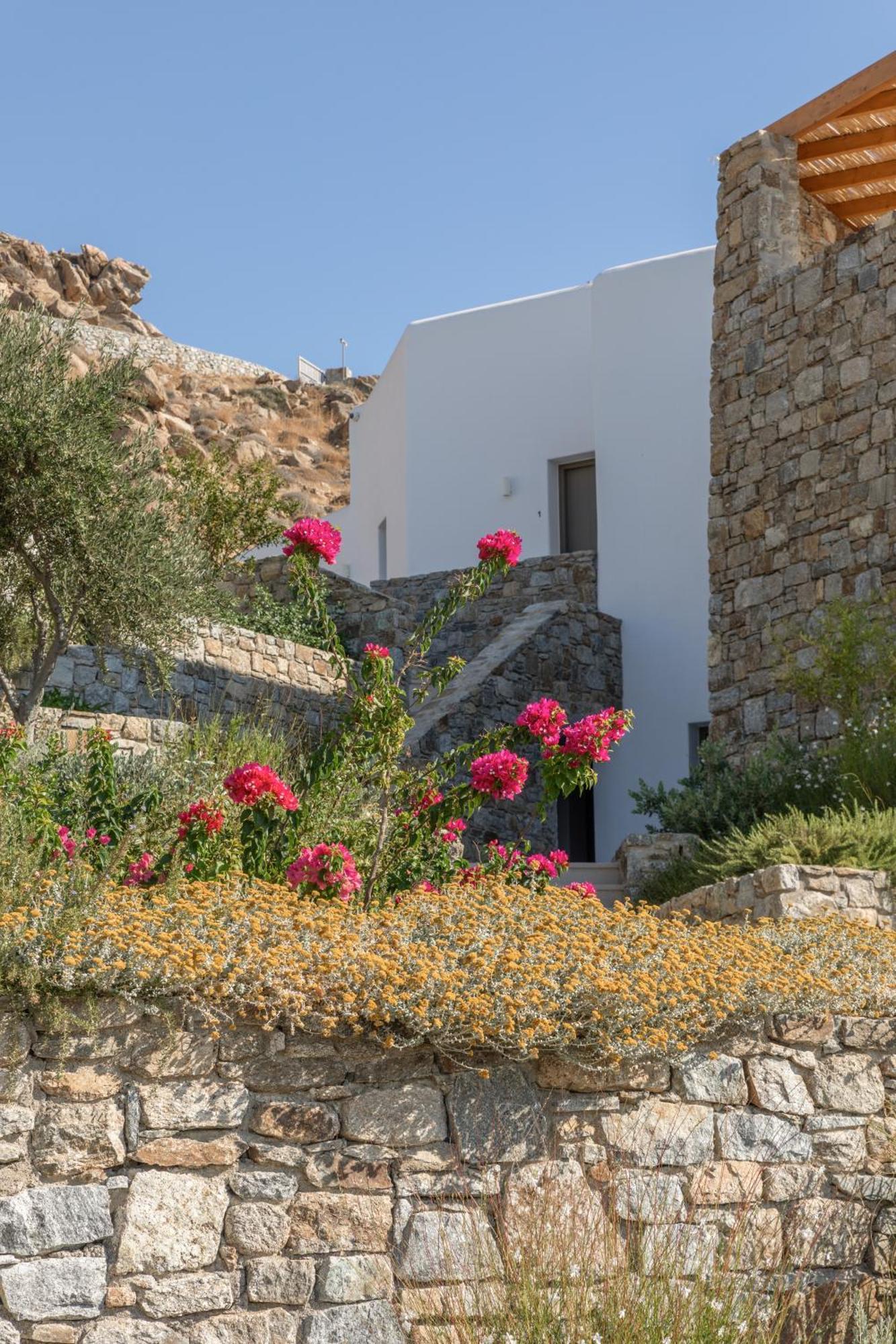 Calma Suites Mykonos Psarou  Exteriér fotografie